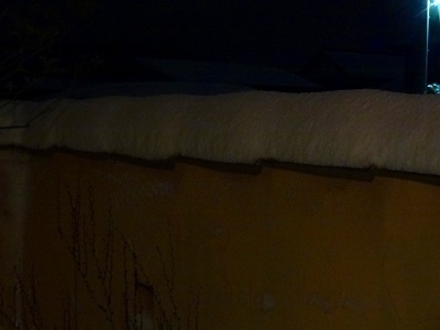 雪20230125.jpg