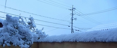 雪20250219.jpg