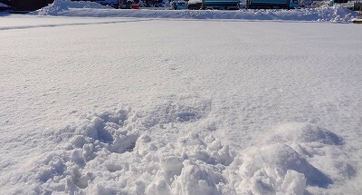 雪20250223.jpg