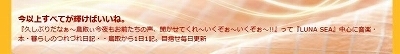 ssblog.jpg