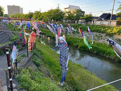 こいのぼり.jpg